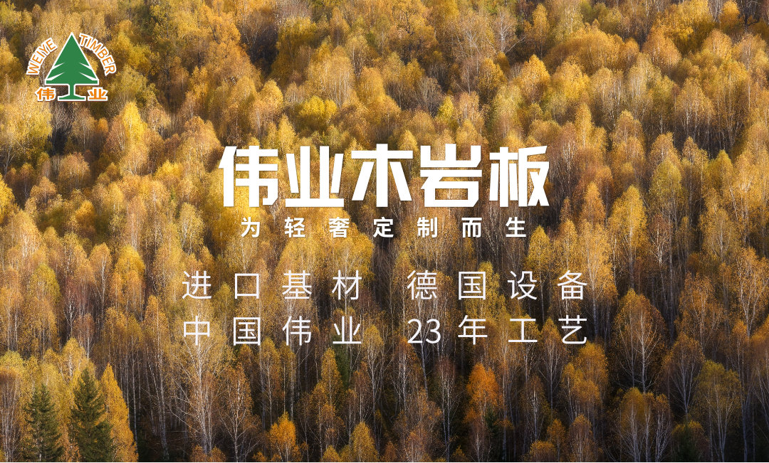 偉業(yè)木巖板，保護(hù)孩子，從懷孕開始